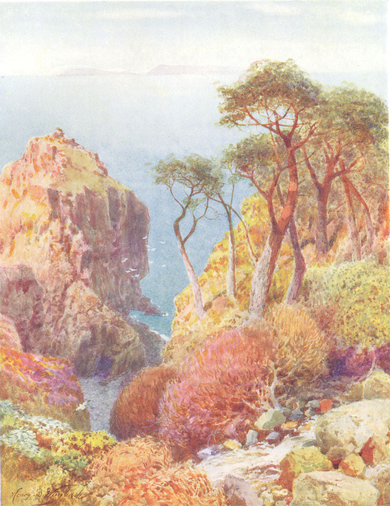 CHANNEL ISLANDS. Port du Moulin from the Seigneurie grounds, Sark 1904 print